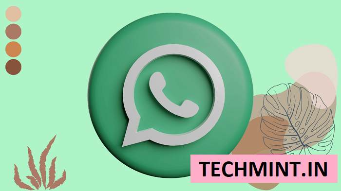 Features of WhatsApp Mod Official Apk