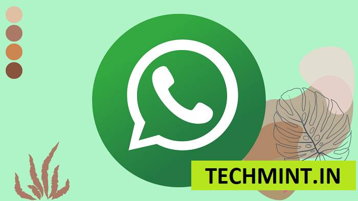 Risks of Using WhatsApp Mod Apk