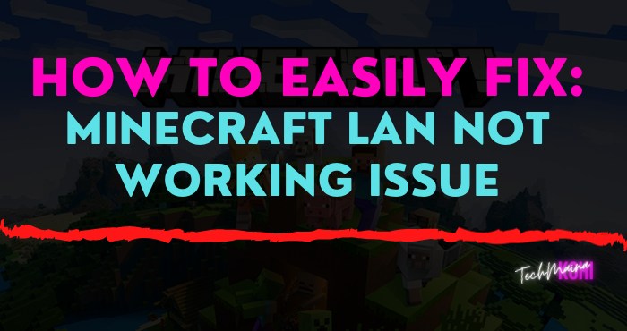 How To Easily Fix_ Minecraft LAN Not Working Issue How To Easily Fix_ Minecraft LAN Not Working Issue