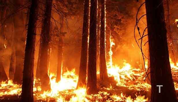 Use A Laptop In A Room With Good Air Circulation