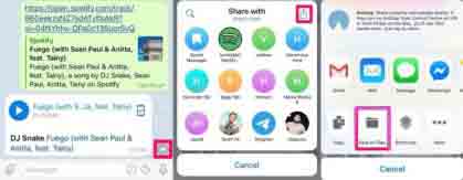 Download Your Favorite Spotify Song on iphone
