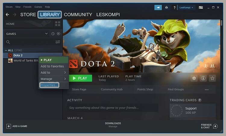 Dota 2 File Reverification