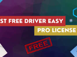 Free Driver Easy Pro License Key