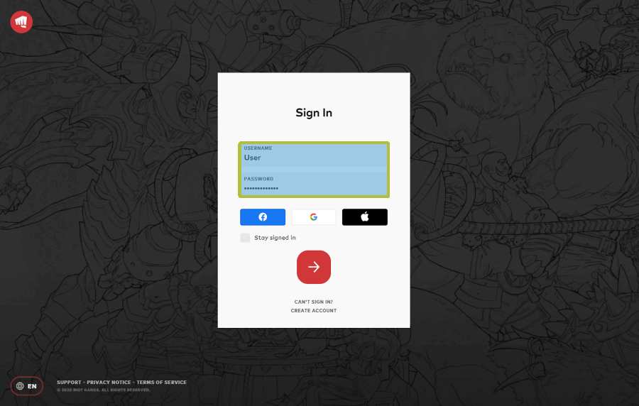 Riot Account Login