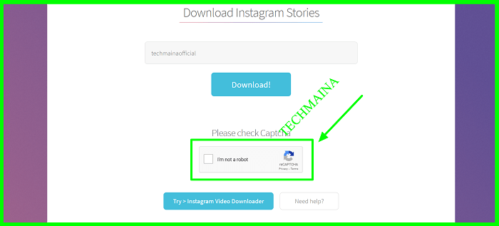 Using the site storysaver.net 2