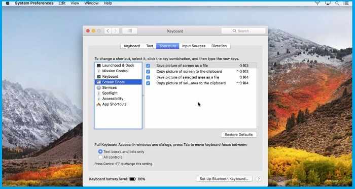 Using the Screenie App