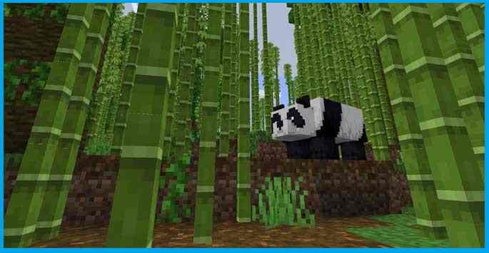 Bamboo Jungle and Pandas Bamboo Jungle and Pandas