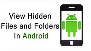 How to See WhatsApp Status Hidden from Us by Activating the See Hidden Files Feature How to See WhatsApp Status Hidden from Us by Activating the See Hidden Files Feature
