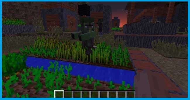 Zombie Village Zombie Village