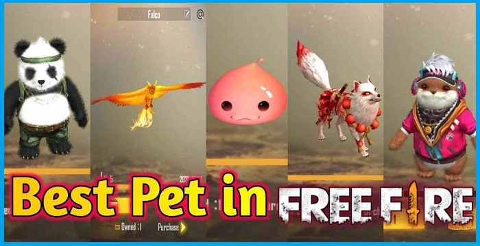 How to Make a Cool and Unique Free Fire Pet Name How to Make a Cool and Unique Free Fire Pet Name