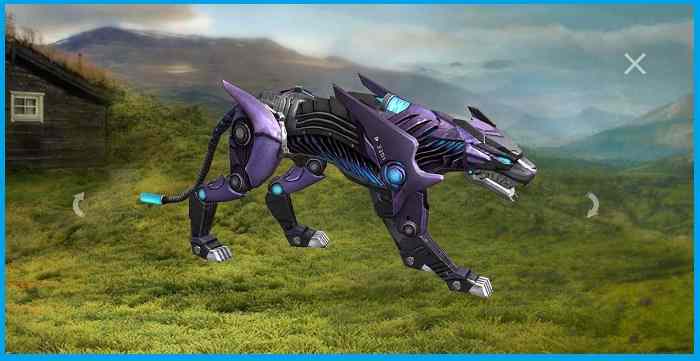 Night Panther Night Panther