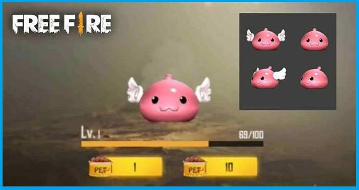 Pet Poring Pet Poring