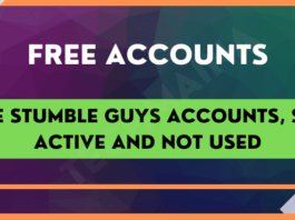 Free Stumble Guys Accounts, Still Active And Not Used